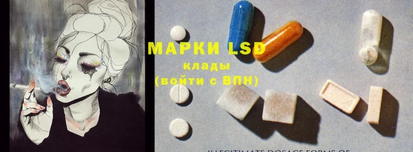 прущие грибы Алексин